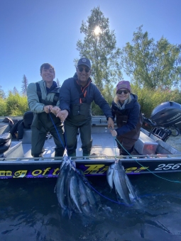 img_2424_54231350780_o-scaled