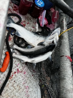 73916682327__f6c95bb6-b998-41a4-876b-723d0db5d390_54231191064_o-rotated