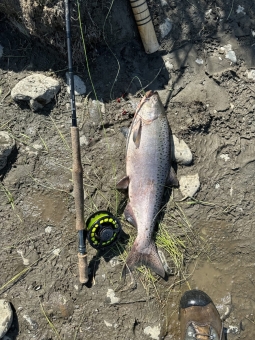 74079168078__0c77ca28-e92f-464f-b673-bb888213983c_54231190914_o-scaled