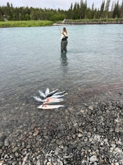 img_0343_54231176748_o-scaled