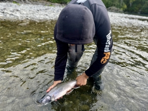 img_0390_54231185249_o-scaled