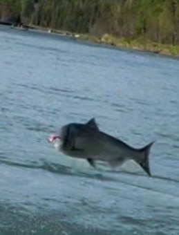 img_0459_54230039732_o