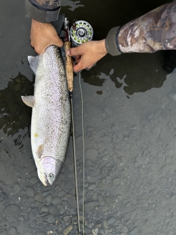 img_0503_54230941706_o-scaled