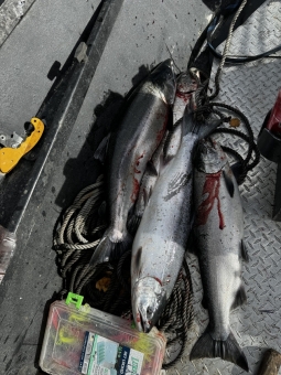 img_0584_54231172078_o-scaled