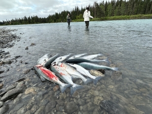 img_0643_54231190549_o-scaled