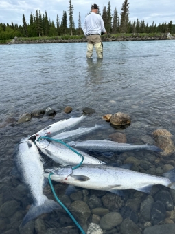 img_0645_54231349945_o-scaled