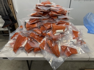 img_0720_54230946346_o-scaled