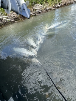 img_0982_54231189644_o-scaled