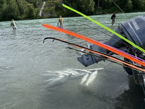 img_1006_54231348915_o-scaled