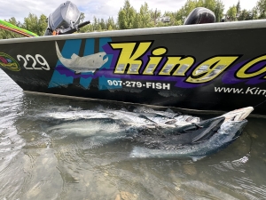 img_1012_54231189439_o-scaled