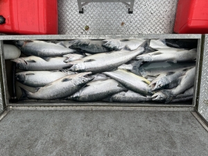 img_1092_54231175353_o-scaled