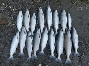 img_1117_54230036617_o-scaled