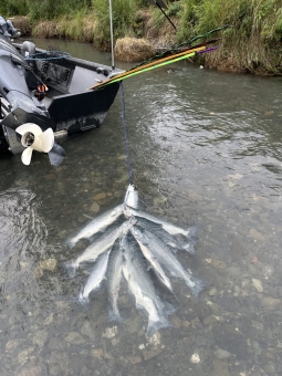 img_1424_54231187484_o-scaled