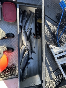 img_1572_54230034852_o-scaled