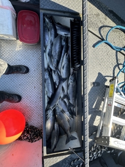 img_1575_54231173488_o-scaled