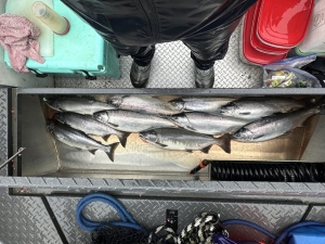 img_1711_54230034282_o-scaled