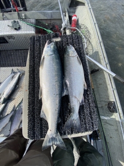 img_2486_54230039117_o-scaled