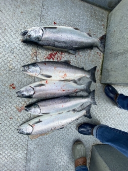 img_2556_54231191259_o-scaled