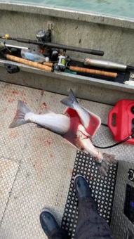 CjEKL1NuYXBjaGF0LzEzLjMuMC40MCAoaVBob25lMTIsMTsgaU9TIDE2LjA7IGd6aXAp