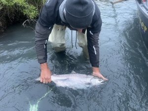 img_2783_54231349130_o-scaled