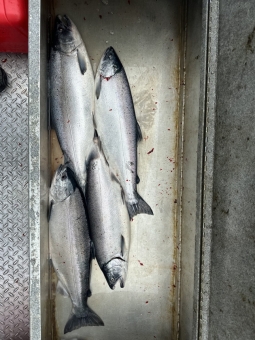 img_2971_54230943051_o-scaled