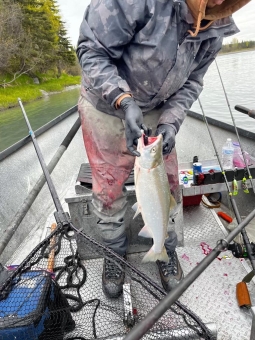 img_3489_54231177628_o