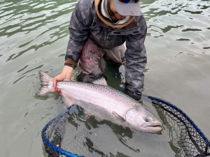 img_4905_54230038747_o-scaled