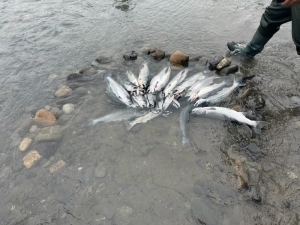 img_6807_54230944291_o