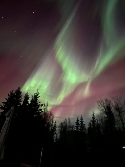 img_6938_54230941466_o-scaled