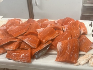 img_7666_54231188864_o-scaled