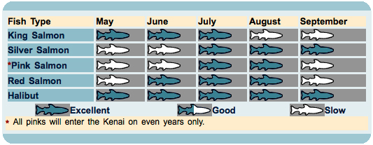 Kenai Fishing Season Report for 2022 | King of the River